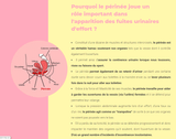 Perigym- Entrainement des muscles pelviens.